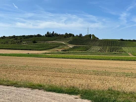 Weingut Sommer