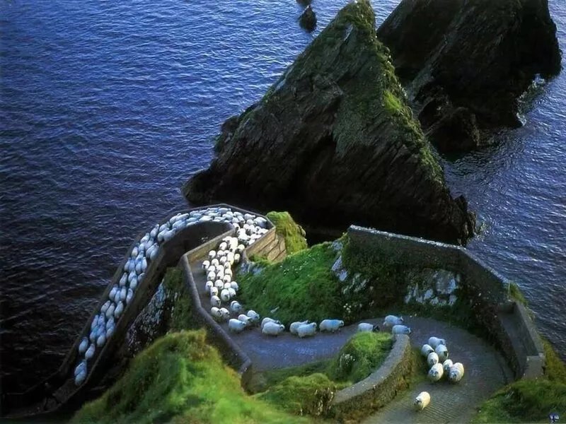Amazing Blasket Island and Coumeenole Beach Views. Luxury House Slea Head Drive