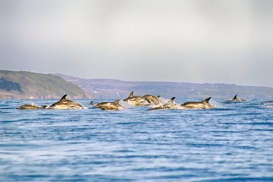 Atlantic Adventures