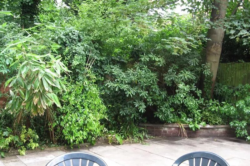 Lovely Large Garden Flat near Westfield & Olympia