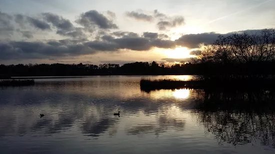 Fleet Pond