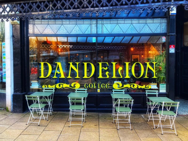 Dandelion - Speciality Coffee