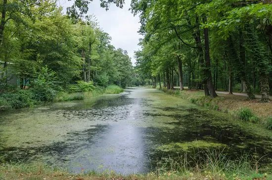 Viereckiger Weiher