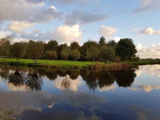 Het Loetbos