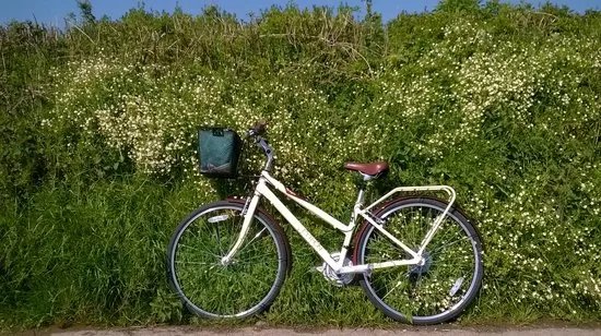Village Bike Hire