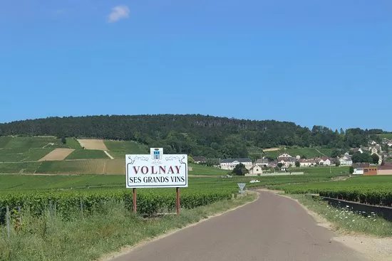 Domaine Pascal Mure