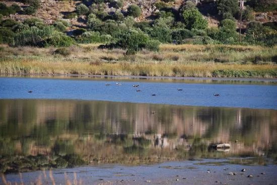The Alyki wetlands