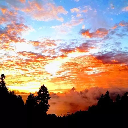 Vidyamor Yoga Retreats Canary Islands