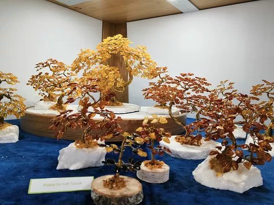The Amber Shop & Museum