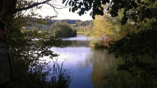 Biodiversum Reserve naturelle Haff Reimech