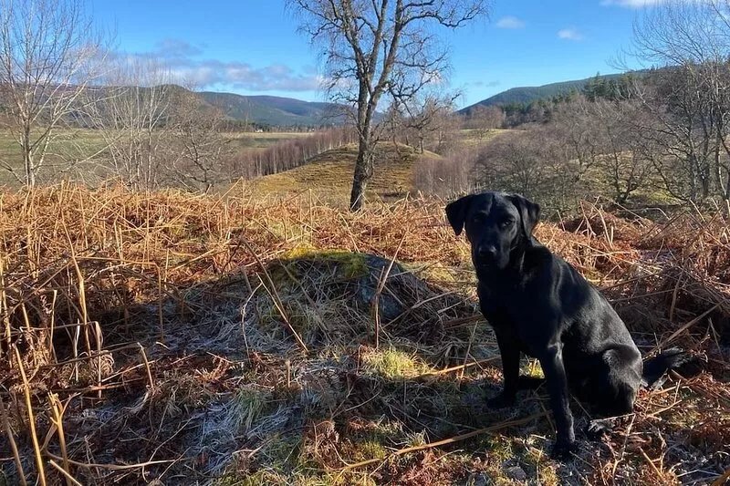 Cairn Leuchan,Glen Muick, Ballater
