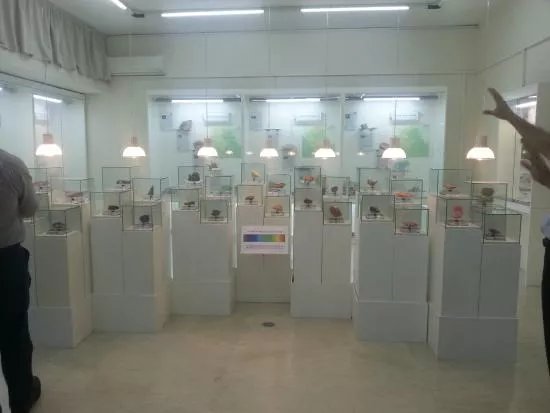 Museum of Mineralogy and Petrology