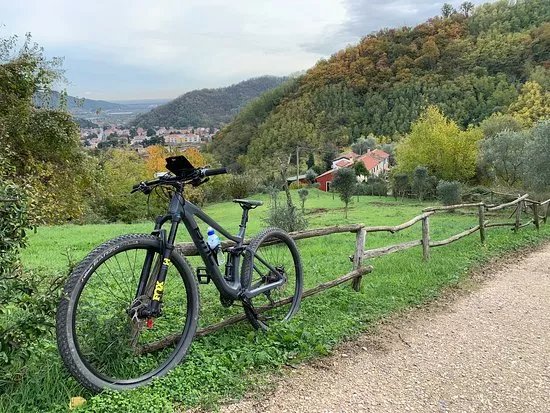 Parco di Villa Bembiana