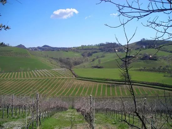 Poderi Fiorini
