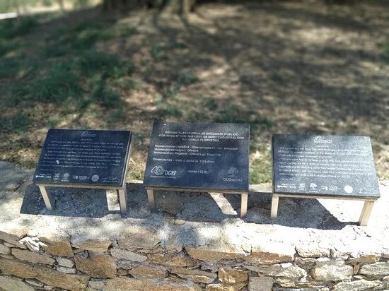 Oliveira Do Mouchao