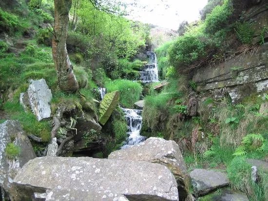 Bronte Waterfall