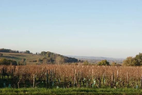 Chateau Haut-Garriga