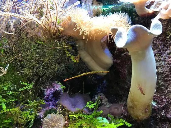 Tierpark Hagenbeck