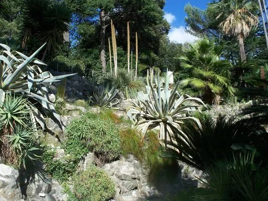 Parco Botanico Villa Rocca