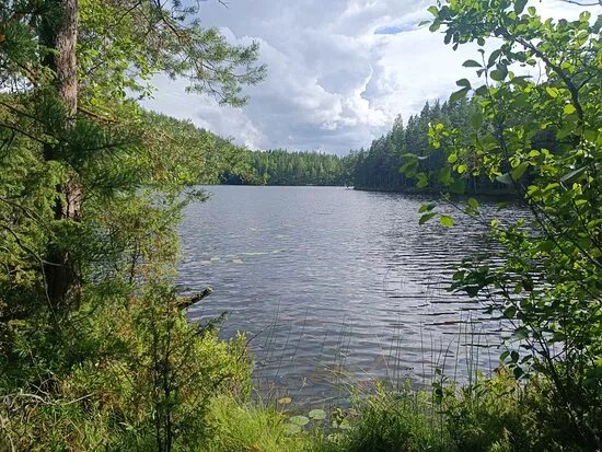 Lake Southern Konnevesi