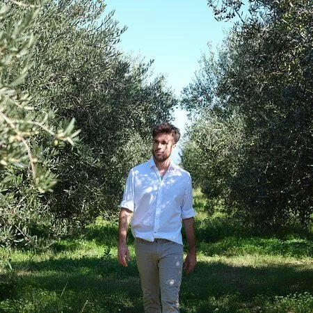 Essensily Olive grove Tour with olive oil and wine tasting