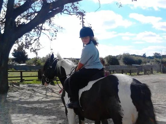 Chessington Equestrian Centre