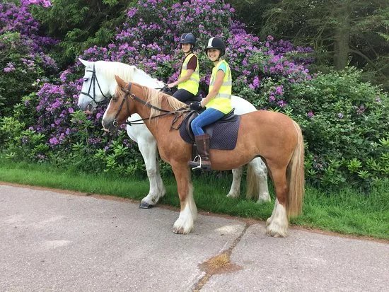 Lakeside Riding Centre