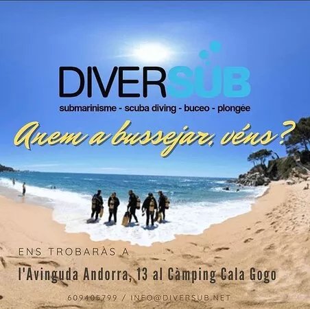 Diversub
