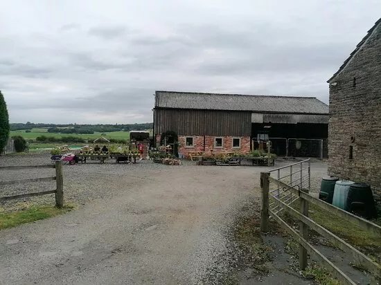 Wilton House Farm Shop