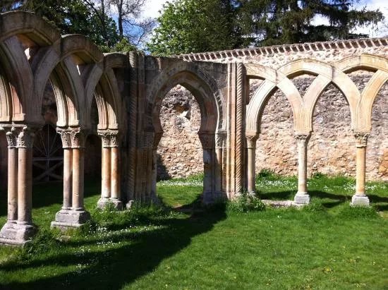 Monasterio de San Juan de Duero (Arcos de San Juan de Duero)