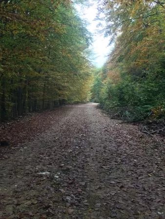 Mount Paiko Cycle Routes