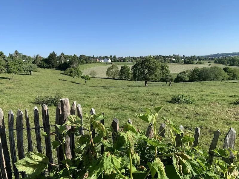 Ankommen und Wohlfühlen - Urlaub im Naturpark Siebengebirge