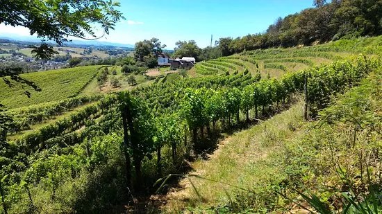 Domaine Guirardel