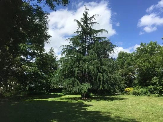 Fishponds Park