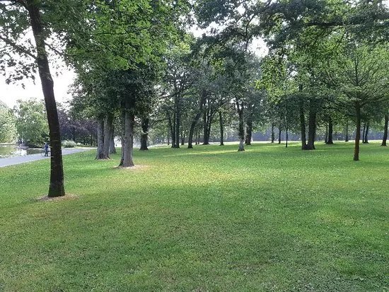 Foret de Montgeon