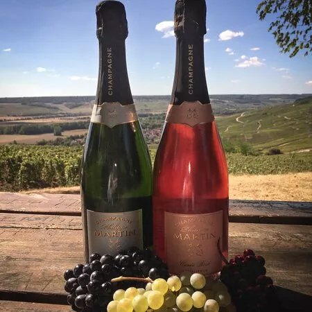 Champagne Tasting Tours from Paris