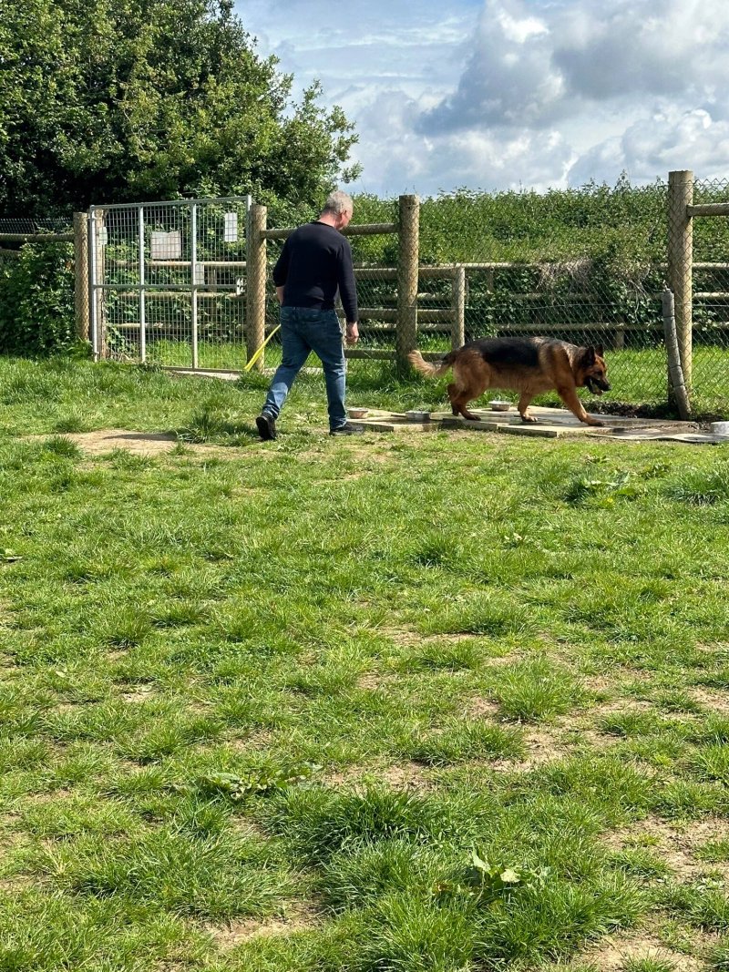 Royal Hounds Dog Park