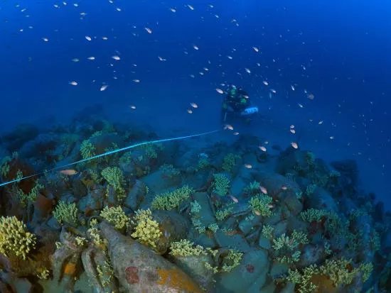Marina Diving Center