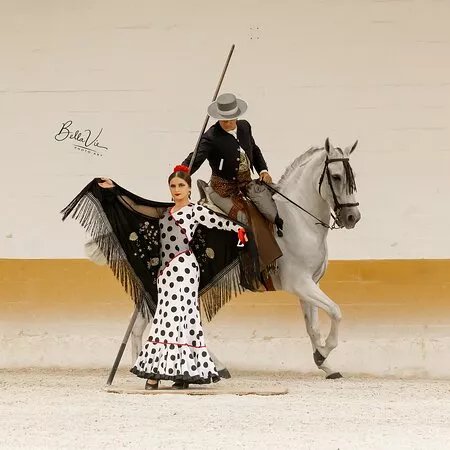 Ritmo a Caballo & Andalusian Night