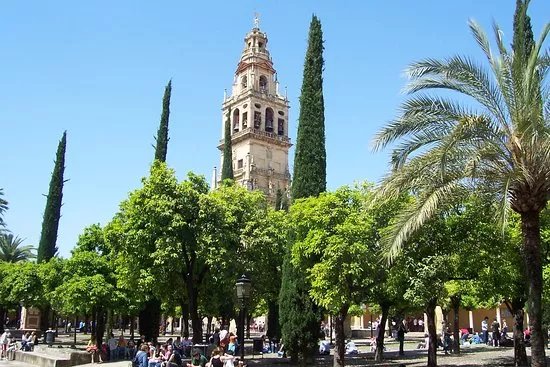 Patio de los Naranjos