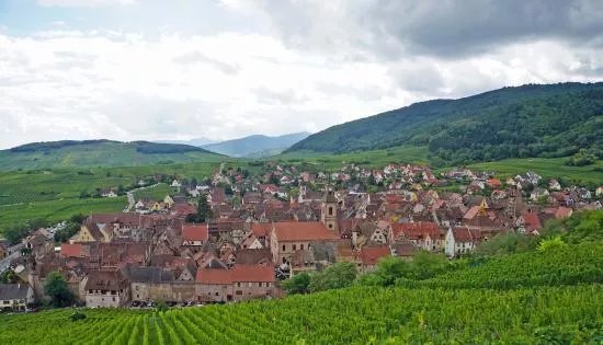 Sentier Viticole des Grands Crus