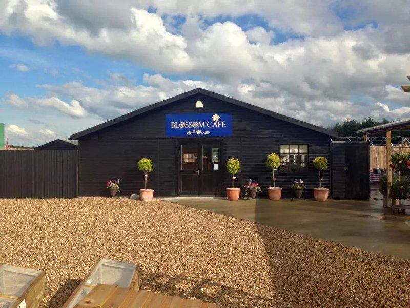 Willington Home And Garden