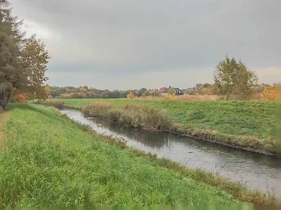 Mleczna