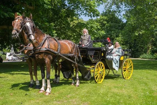 Stalhouderij Delftse Hout