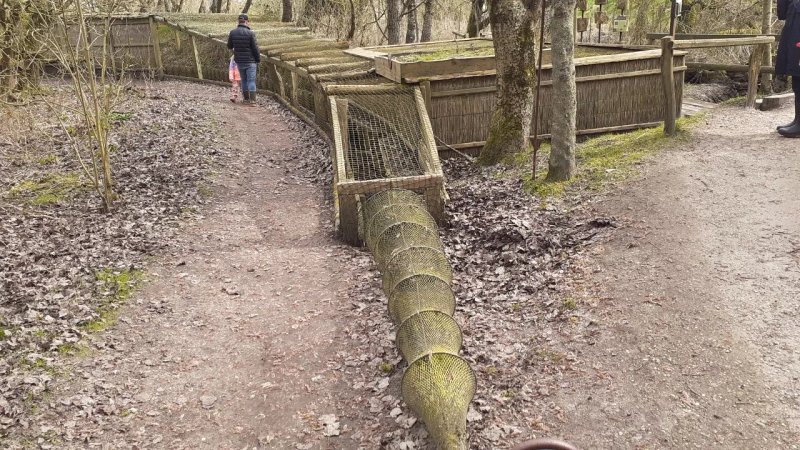 Naturpfad Vogelkoje Kampen