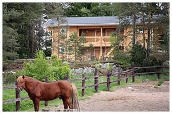Kylamaki Horsefarm
