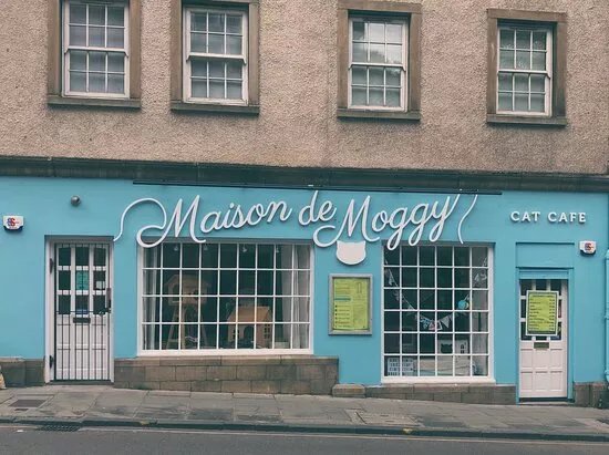 Maison de Moggy