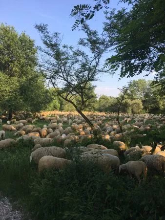 Ciclopedonale del Brenta