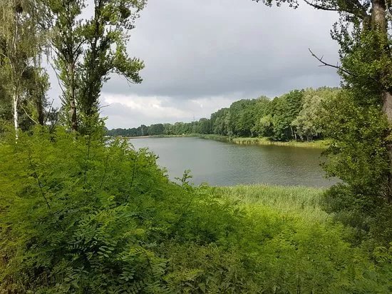 Lagoon Rogoznik