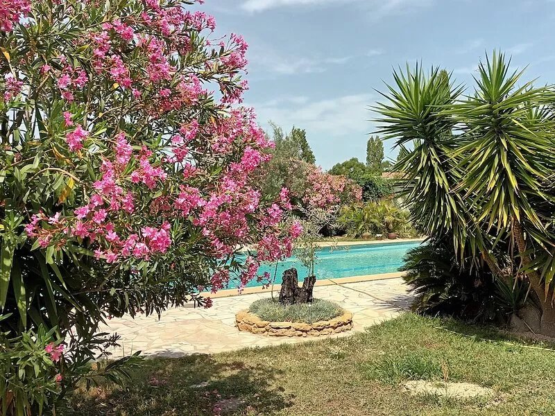 Holidays in ISTRES in Provence - Alpilles, Camargue, Blue Coast etc...